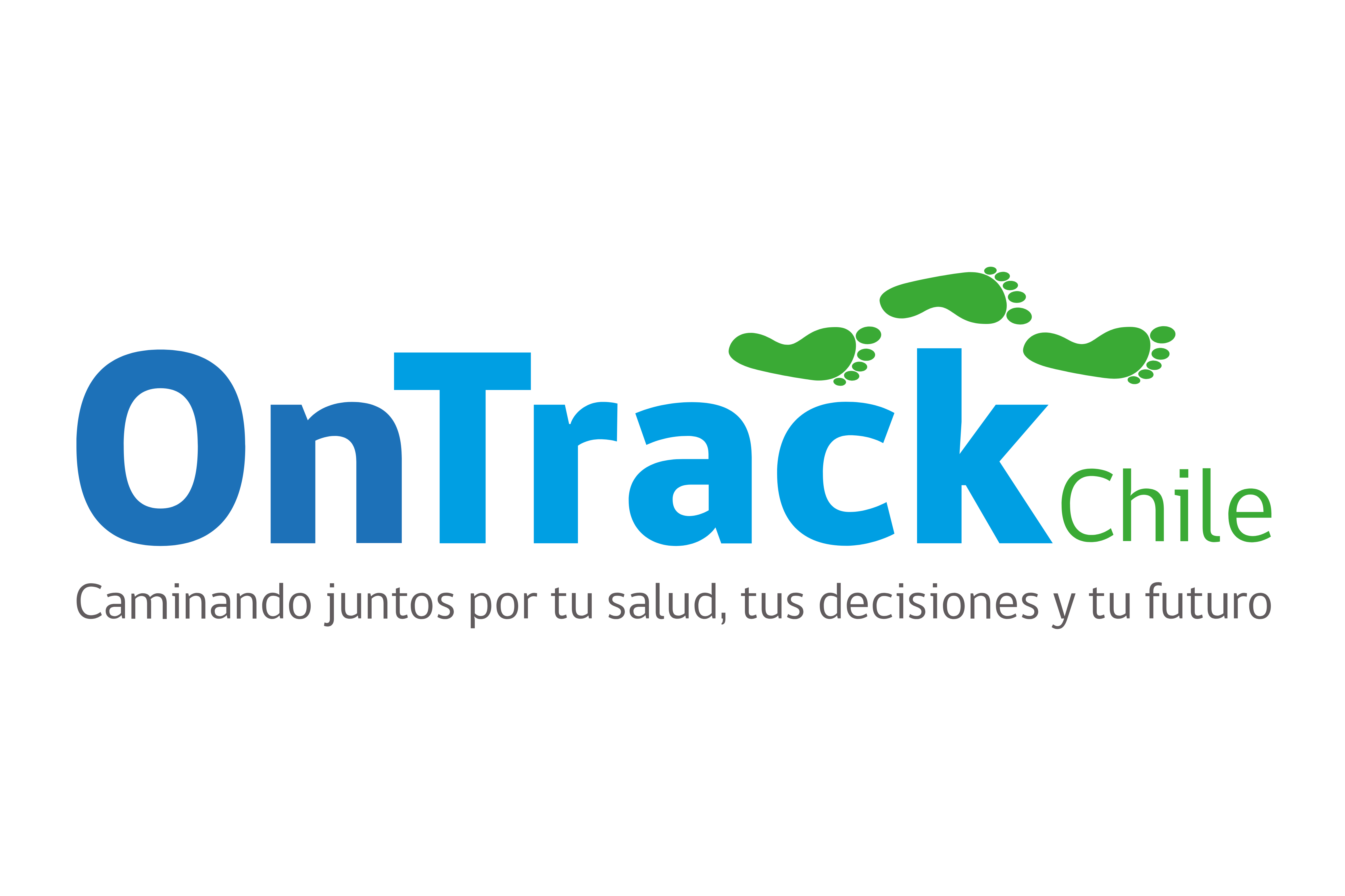 Universidad de O'Higgins se prepara para futuros proyectos en salud mental en colaboración con Estados Unidos y países de América Latina