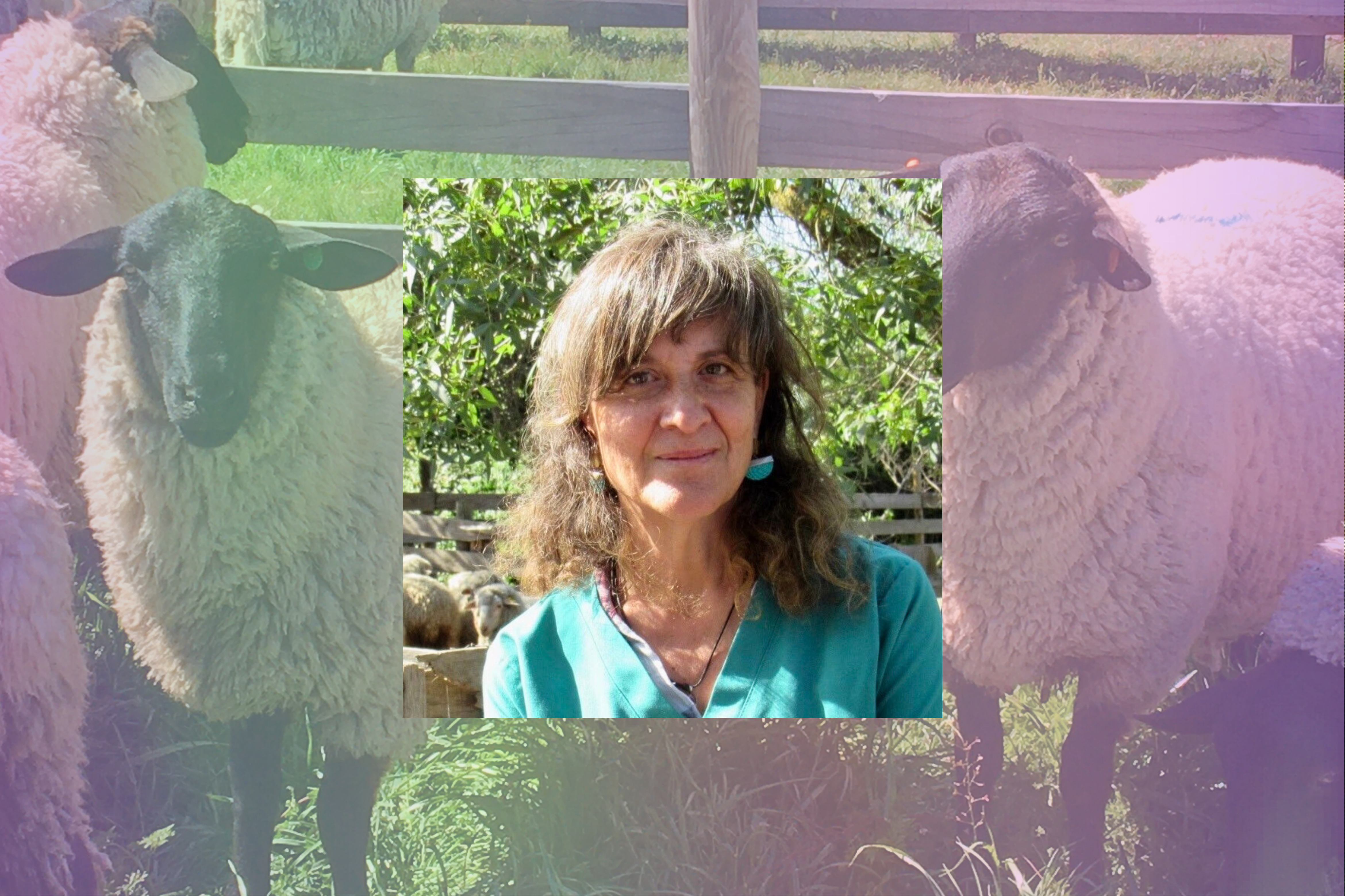 La ciencia de Marcela Gómez Ceruti: “Proteger las ovejas es proteger los ecosistemas del secano”