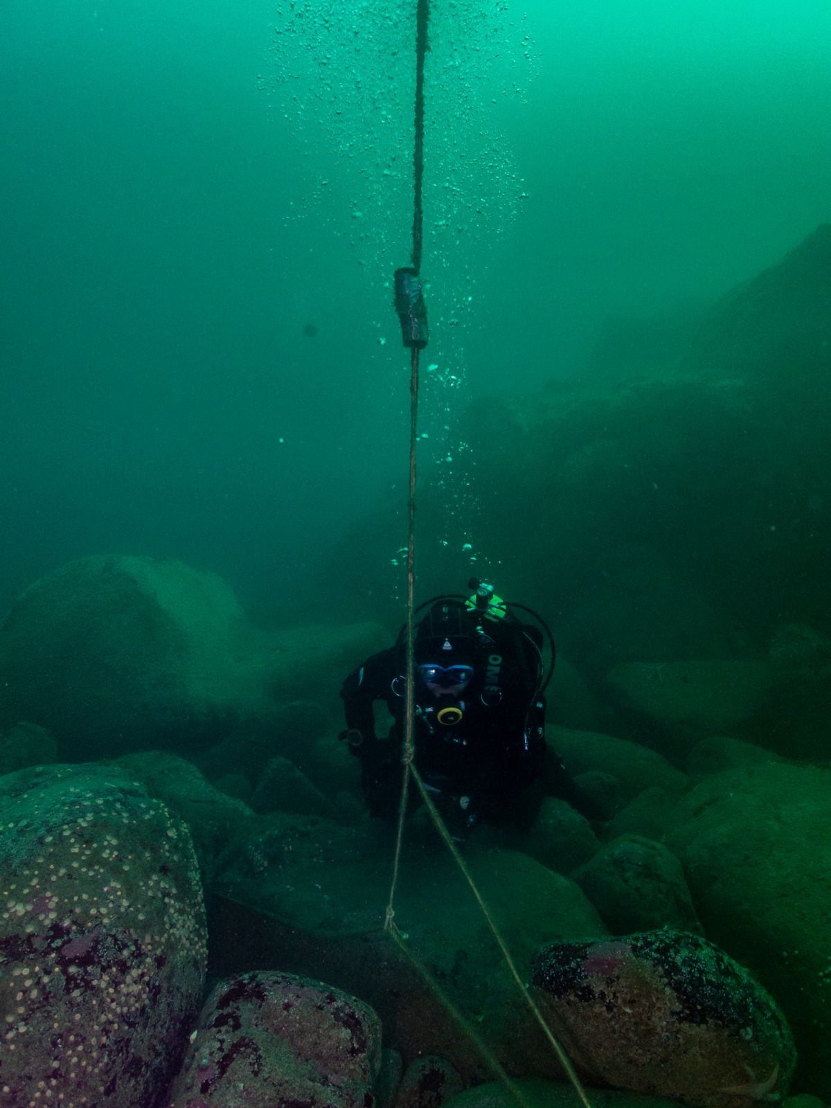 Profundidades en riesgo: los refugios climáticos del océano chileno podrían no ser tan seguros como se creía