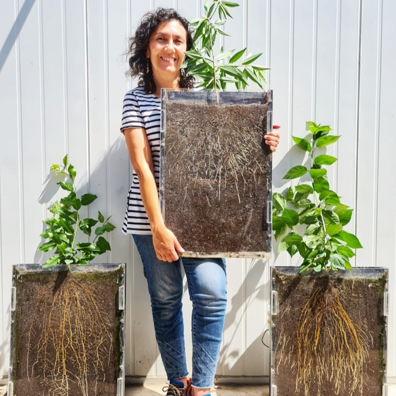 Paula Pimentel, experta en fisiología del estrés vegetal: El problema de raíz de la producción agrícola en O’Higgins