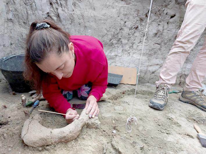 Natalia Villavicencio, paleoecóloga especializada en megafauna: Se quiere lo que se conoce. El rol de los humanos en la extinción.