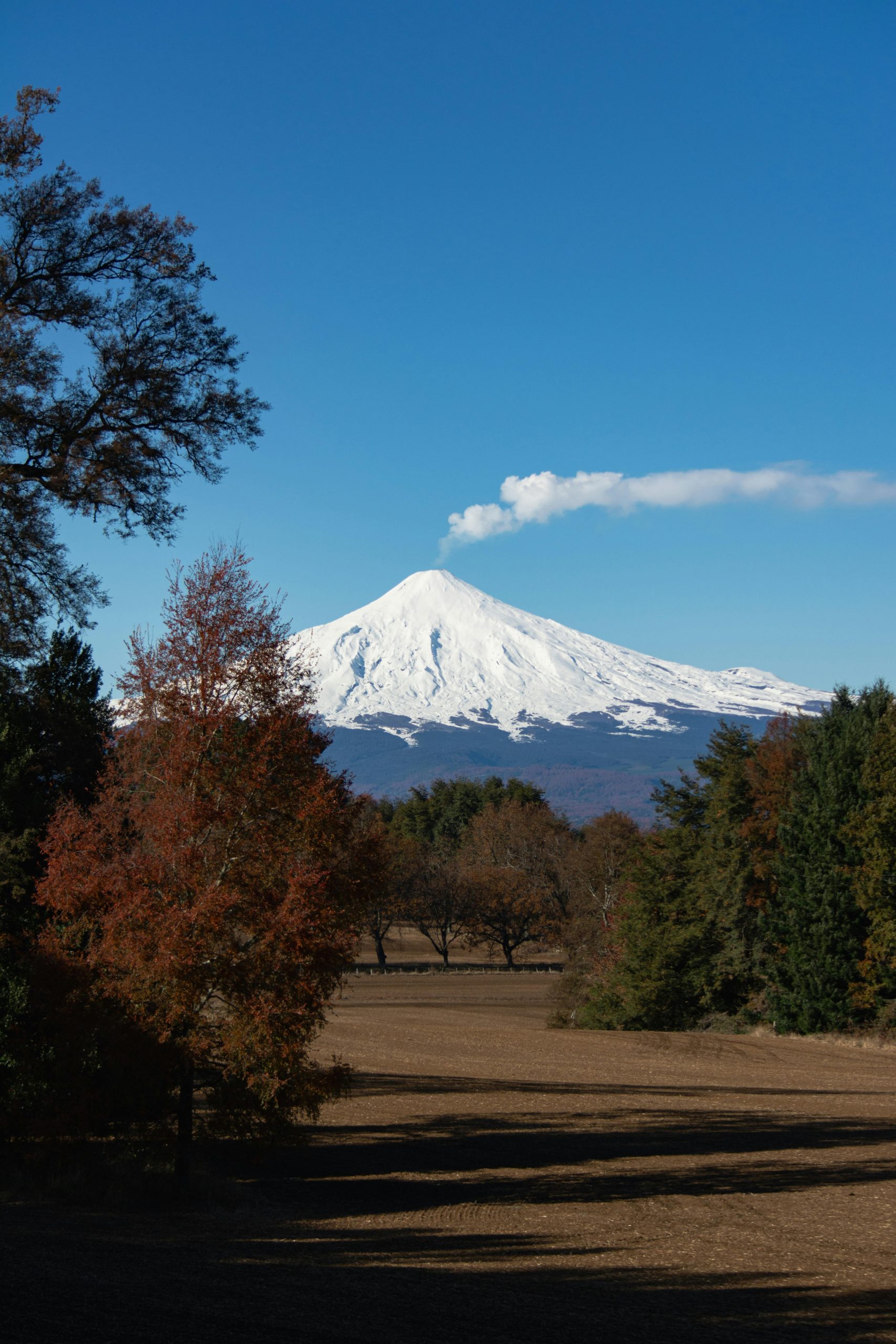 Día de la Tierra: Chile destaca entre los países con mayor volcanismo a nivel mundial