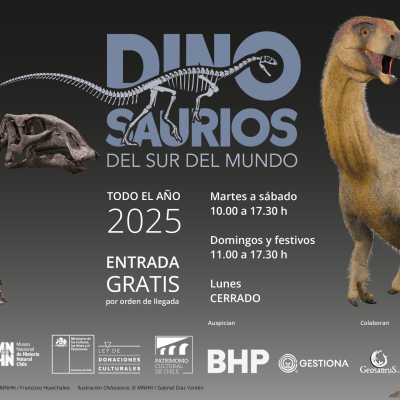 Más de un millón de personas han visitado “Dinosaurios del Sur del Mundo” en el Museo Nacional de Historia Natural