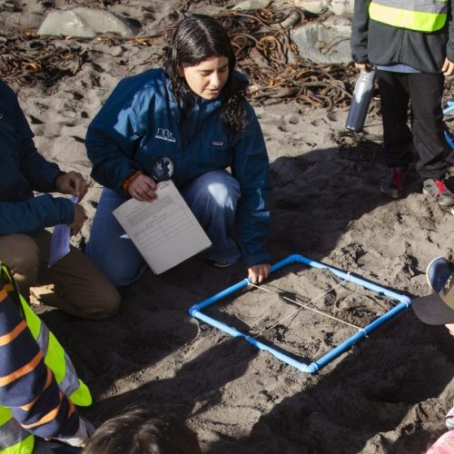 Kelly Valdebenito, educadora ambiental e ingeniera agrónoma: La importancia de aprender a enseñar sobre nuestra flora y fauna