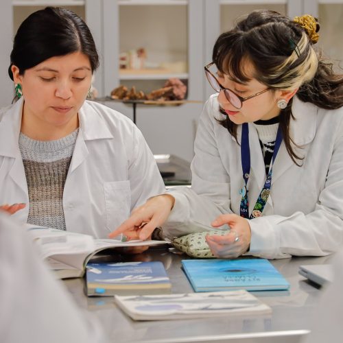 Ana María Rojas, docente y magíster en didáctica de las ciencias: Cuando el aula transforma el ecosistema científico regional